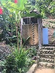 IMG_1589