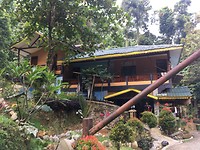 IMG_1593