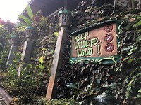 IMG_1599