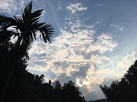 IMG_1601