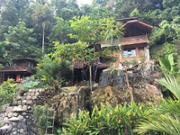 IMG_1602