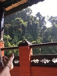 IMG_1636