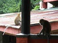 IMG_1657
