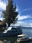 IMG_2136
