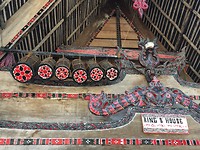 IMG_2269
