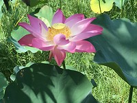 IMG_2279