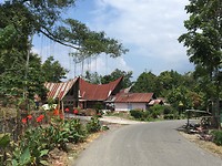 IMG_2293