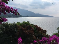 IMG_2304