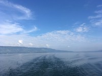 IMG_2326