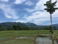 IMG_1870