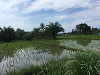 IMG_1876
