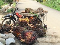 IMG_1890