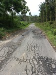 IMG_1895