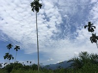 IMG_1899