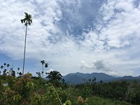IMG_1905