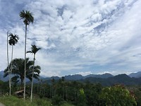 IMG_1910