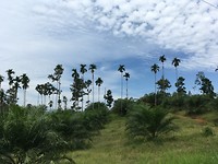 IMG_1912