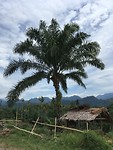 IMG_1914