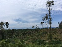 IMG_1917