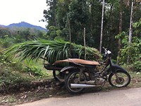 IMG_1919