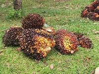 IMG_1920