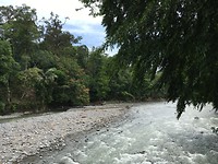 IMG_1925