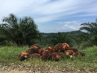 IMG_1937