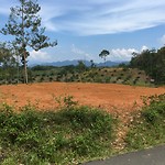 IMG_1943