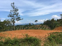 IMG_1945
