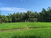 IMG_2041