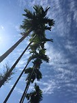 IMG_2064