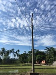 IMG_2079