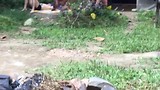 201706 Bukit Lawang Jungle Trek 5 sterren hotel