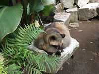 IMG_2377