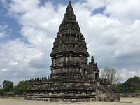 IMG_2491