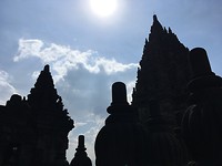 IMG_2495