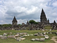 IMG_2498