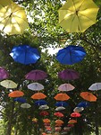 IMG_2501