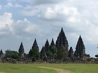 IMG_2507