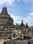 IMG_2593