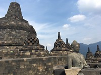 IMG_2595