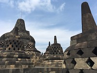 IMG_2597