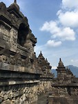 IMG_2601