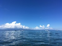 IMG_2947