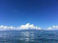IMG_2949