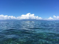 IMG_2953