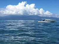 IMG_2954