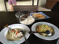 IMG_2981