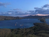 IMG_3967