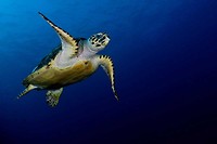 IMG_4059